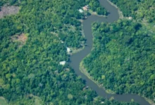 Photo of Pará registra queda de 25,5% nos alertas de desmatamento, aponta Inpe