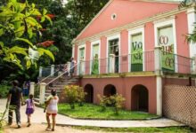 Photo of Museu Goeldi abre seleção para estágio com bolsa de R$ 1 mil; veja quem pode participar