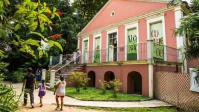 Photo of Museu Goeldi abre seleção para estágio com bolsa de R$ 1 mil; veja quem pode participar