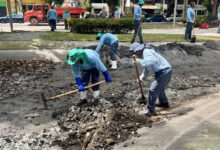 Photo of Prefeitura segue com plano para conter garças na Praça Batista Campos
