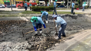 Photo of Prefeitura segue com plano para conter garças na Praça Batista Campos