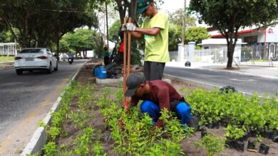 Photo of Avenida Marechal Hermes recebe maior jardim de chuva em construção em Belém