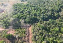 Photo of PF desativa três frentes de garimpo ilegal no sul do Pará