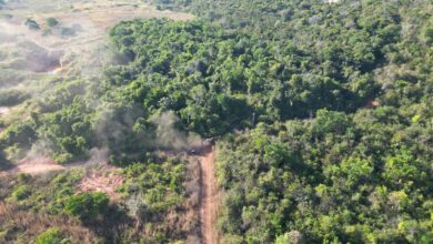 Photo of PF desativa três frentes de garimpo ilegal no sul do Pará