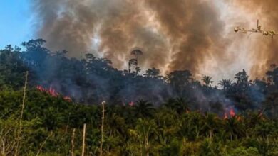 Photo of Incêndio avança na Terra Indígena Apyterewa e ameaça floresta e aldeia no sul do Pará
