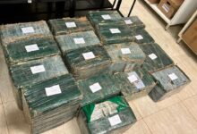 Photo of Meia tonelada de cocaína é apreendida em operação conjunta na BR-155, em Xinguara