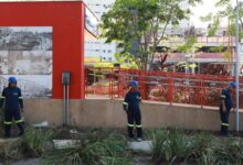 Photo of Parque Linear da Doca recebe força-tarefa de limpeza, manutenção e reforço na segurança