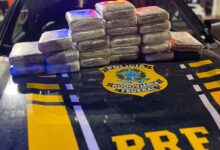 Photo of PRF apreende mais de 25 kg de skunk em ônibus na BR-230, em Altamira