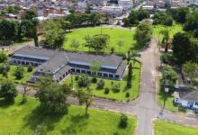 Photo of Embrapa transforma o Pará em laboratório de inovação na Amazônia
