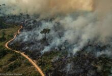 Photo of Governo do Pará decreta alerta climático preventivo para enfrentar seca, queimadas e calor extremo