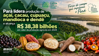 Photo of Pará lidera produção de açaí, cacau, cupuaçu, mandioca e dendê e alcança R$ 38,38 bilhões em 2025