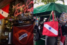 Photo of Criadora de conteúdo chama atenção para paixão dos paraenses pela própria bandeira