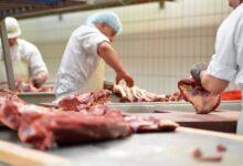 Photo of Pará escapa do impacto imediato de suspensão de carne brasileira pela União Europeia