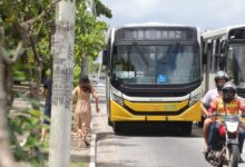 Photo of 12 linhas de ônibus terão itinerários alterados a partir desta quinta-feira em Belém; veja quais