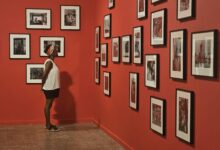 Photo of 36ª Bienal de São Paulo abre exposição gratuita no Museu de Arte de Belém