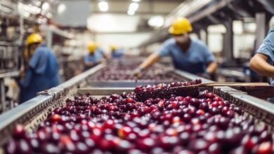 Photo of Isenção de ICMS para açaí e cupuaçu pode ampliar industrialização no Pará