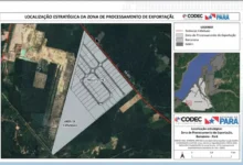 Photo of Codec apresenta ZPE de Barcarena a empresas interessadas em investir no Pará