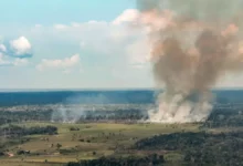 Photo of Pará lidera focos de incêndio no Brasil e registra mais de 19 mil ocorrências em 2026