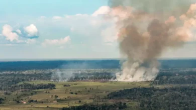 Photo of Pará lidera focos de incêndio no Brasil e registra mais de 19 mil ocorrências em 2026