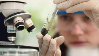 Photo of Programa Futuras Cientistas prorroga inscrições até 6 de novembro e oferece 470 vagas gratuitas