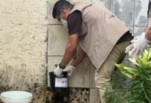 Photo of Belém registra 1,2 mil casos confirmados de dengue em 2026 e reforça prevenção