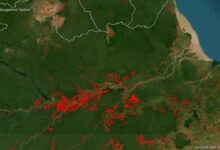 Photo of Incêndios avançam no oeste do Pará, ameaçam casas e mobilizam bombeiros
