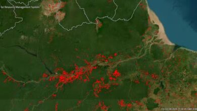 Photo of Incêndios avançam no oeste do Pará, ameaçam casas e mobilizam bombeiros