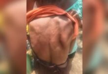Photo of Idosa de 77 anos é agredida pelo filho e suspeito é preso em Belterra, no Pará