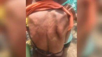 Photo of Idosa de 77 anos é agredida pelo filho e suspeito é preso em Belterra, no Pará