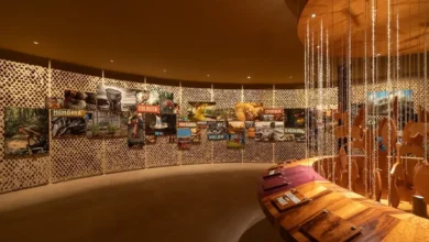 Photo of Museu das Amazônias reabre em Belém em novembro com exposições sobre a região e crise climática