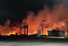 Photo of Fogo atinge área do campus da UFPA em Castanhal; universidade descarta danos e vítimas