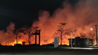 Photo of Fogo atinge área do campus da UFPA em Castanhal; universidade descarta danos e vítimas