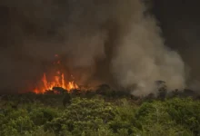 Photo of Oeste do Pará enfrenta avanço de incêndios após mais de 16 mil focos de calor no estado