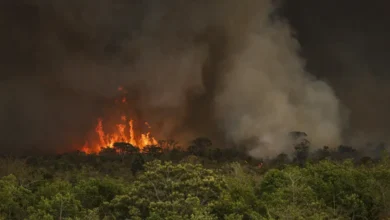 Photo of Oeste do Pará enfrenta avanço de incêndios após mais de 16 mil focos de calor no estado