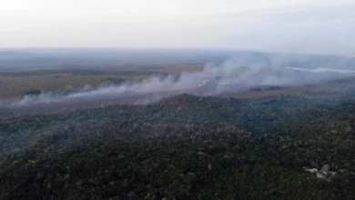 Photo of Incêndios avançam no Pará e deixam qualidade do ar em nível insalubre